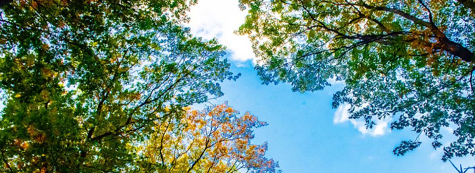 Christians Be Well Naturally